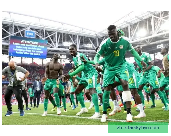 塞内加尔夺冠 全国放假一天庆祝